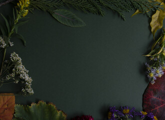 Frame made of leaves and flowers on green background with copyspace. Flatlay, minimalistic composition.