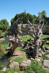 Paysage africain