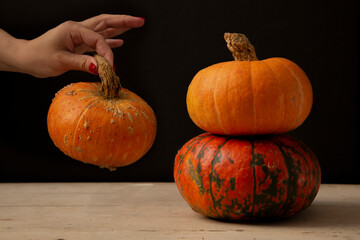 Halloween photo with pumpkins lying on top of each other on a wooden table against a dark background. Female hand with red nails holds a pumpkin by the tail

