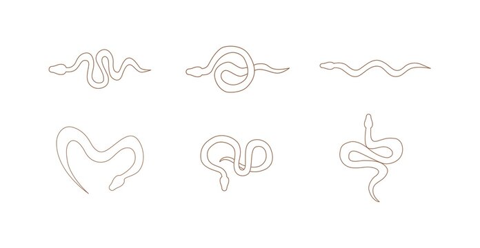 Esoteric vector set. mystic snake line