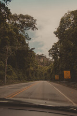 paviment road in the middle of a dark forest