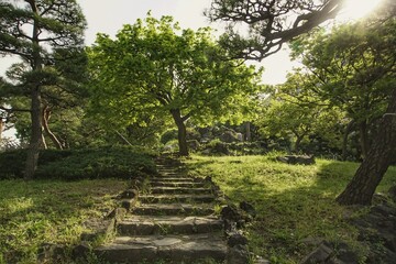 Japanese garden with stairs and trees in Tokyo