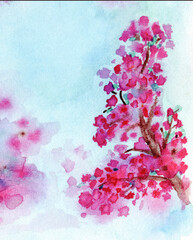 sakura blossom on a background of the sky watercolor drawing, pink japanese cherry blossoms on the branches