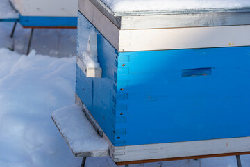 A hive for bees in the winter season. Snow.