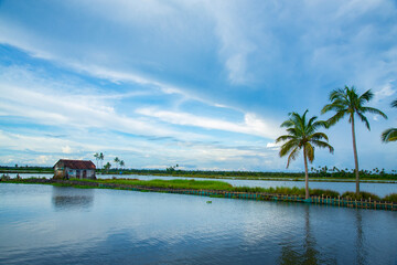 Beautiful Riverscape photography, backwaters photography during daytime under blue sky, Kerala backwaters Kadamakkudy Kerala