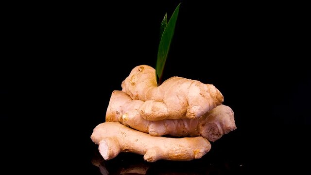 Ginger root on a black background. Fresh and organic ginger rotating on a black background