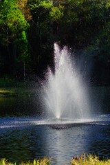 Fototapeta na wymiar A Florida community pond in winter 