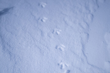 富山県立山町にある立山の冬の雪景色のある風景 Landscape with snowy winter scenery of Tateyama in Tateyama Town, Toyama Prefecture, Japan.