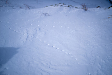 富山県立山町にある立山の冬の雪景色のある風景 Landscape with snowy winter scenery of Tateyama in Tateyama Town, Toyama Prefecture, Japan.