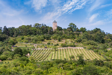 Starkenburg auf dem Schlossberg oberhalb von Heppenheim an der Bergstraße, Hessen in Deutschland