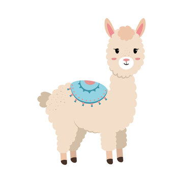 Small alpaca, vector illustration on an isolated background. Cartoon Lama, with a cape, with a saddle. Fluffy curly alpaca. The image is drawn in flat style. Image of animals for children.