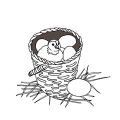 Vector illustration of a chicken chick sitting in a basket with eggs.