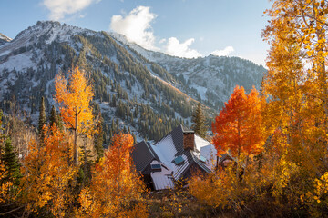 Cabin in the woods in autumn