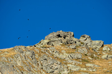 Vanoise national park view with raptors