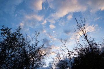 Blue sky and clouds at sunset
