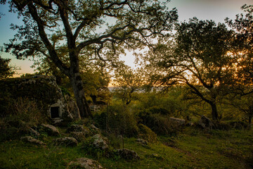 Fototapeta na wymiar Fairy's home, Orroli, Sardinia