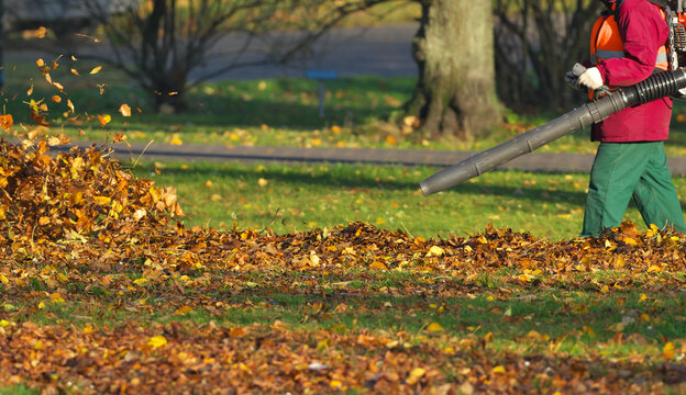 Worker in autumn with a leaf blower