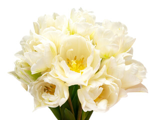Bouquet white tulip flower isolated on white background. Beautiful composition for advertising and packaging design in the garden business. Flat lay, top view