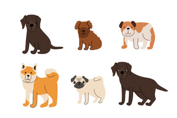 Cute set of dogs puppies. Labrador retriever, poodle puppy, buldog, akita inu, pug. Vector illustration isolated on white background