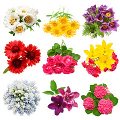 Collection of bouquets flowers pulsatilla patens, muscari, clematis, hydrangea, gaillardia, daisy, lily, rose and clematis isolated on white background