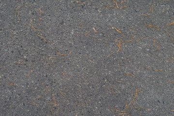 Dark grey grainy asphalt with fallen yellow pine needles