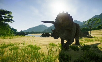 Herd of triceratops © Misael