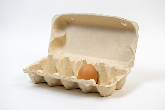 The last chicken brown egg in a carton on a white background. Natural product. No waste. Cardboard packaging. The concept of loneliness