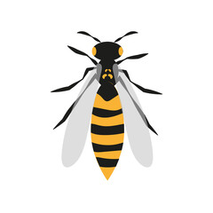 Wasp icon on white background