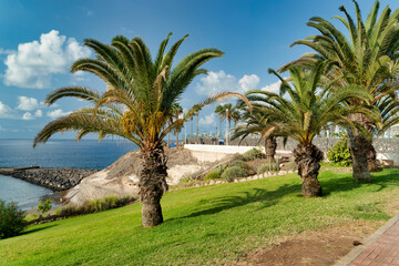 Fototapeta premium Seascape with an embankment park area. La caleta beach, Canary Island Tenerife, Spain