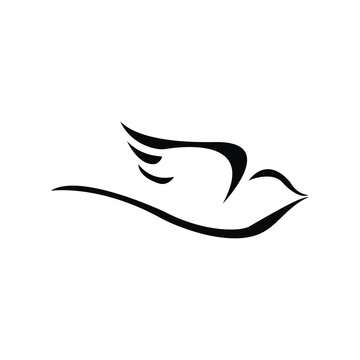 Abstract Bird logo design template