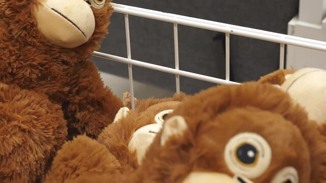 The monkey stuff toy inside the basket in the toy store 