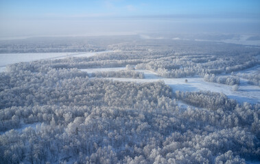 Aerial photo of birch forest in winter season. Drone shot of trees covered with hoarfrost and snow.