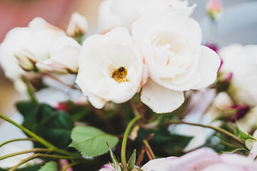 close-up bee flying over of bunch of rose flowers in vase on top of outdoor table