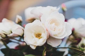 close-up of bunch of rose flowers in vase on top of outdoor table