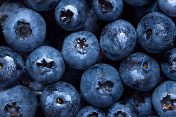 Freshly picked blueberries in water