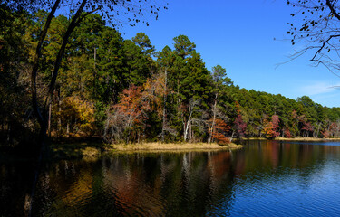 Fall Foliage-DFSP-3393