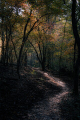 Obraz premium Follow the Path