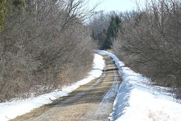 Driveway into the Snowy Woods