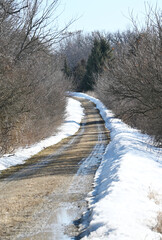 Driveway into Snowy Woods
