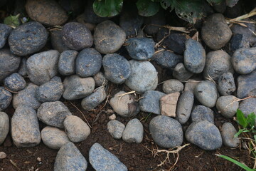 river stone that is used as a plant barrier decoration with grass so that it looks more beautiful