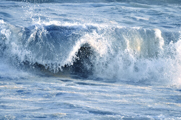 Great waves of the Pacific