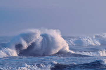 Great waves of the Pacific