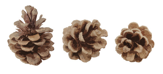 Illustration set of pine cone cutout