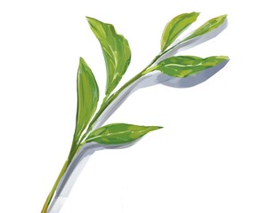 茶葉（生）（影あり）