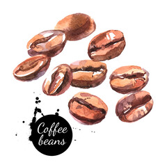 Watercolor hand drawn coffee beans. Isolated natural food illustration on white background