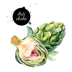 Watercolor artichokes. Isolated eco food illustration on white background