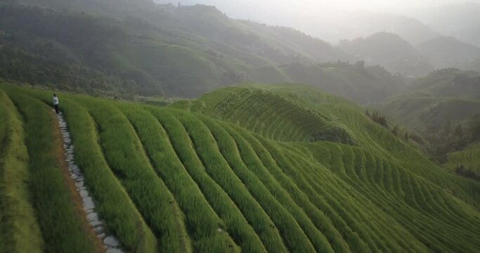 Aerial View Of Terraced Rice Fields On A Misty Day In Dazhai Village, Guangxi, China - drone shot