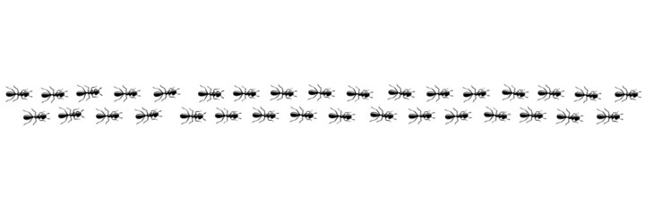 Ants marching in trail searching food. Ant path isolated in white background. Vector illustration
