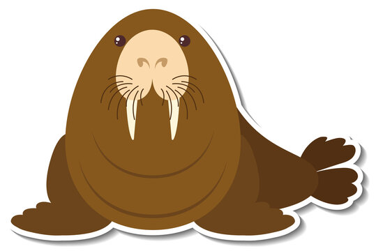 Chubby walrus animal cartoon sticker