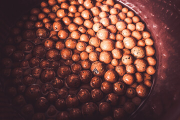 ハイドロボール 水耕栽培 ハイドロカルチャー